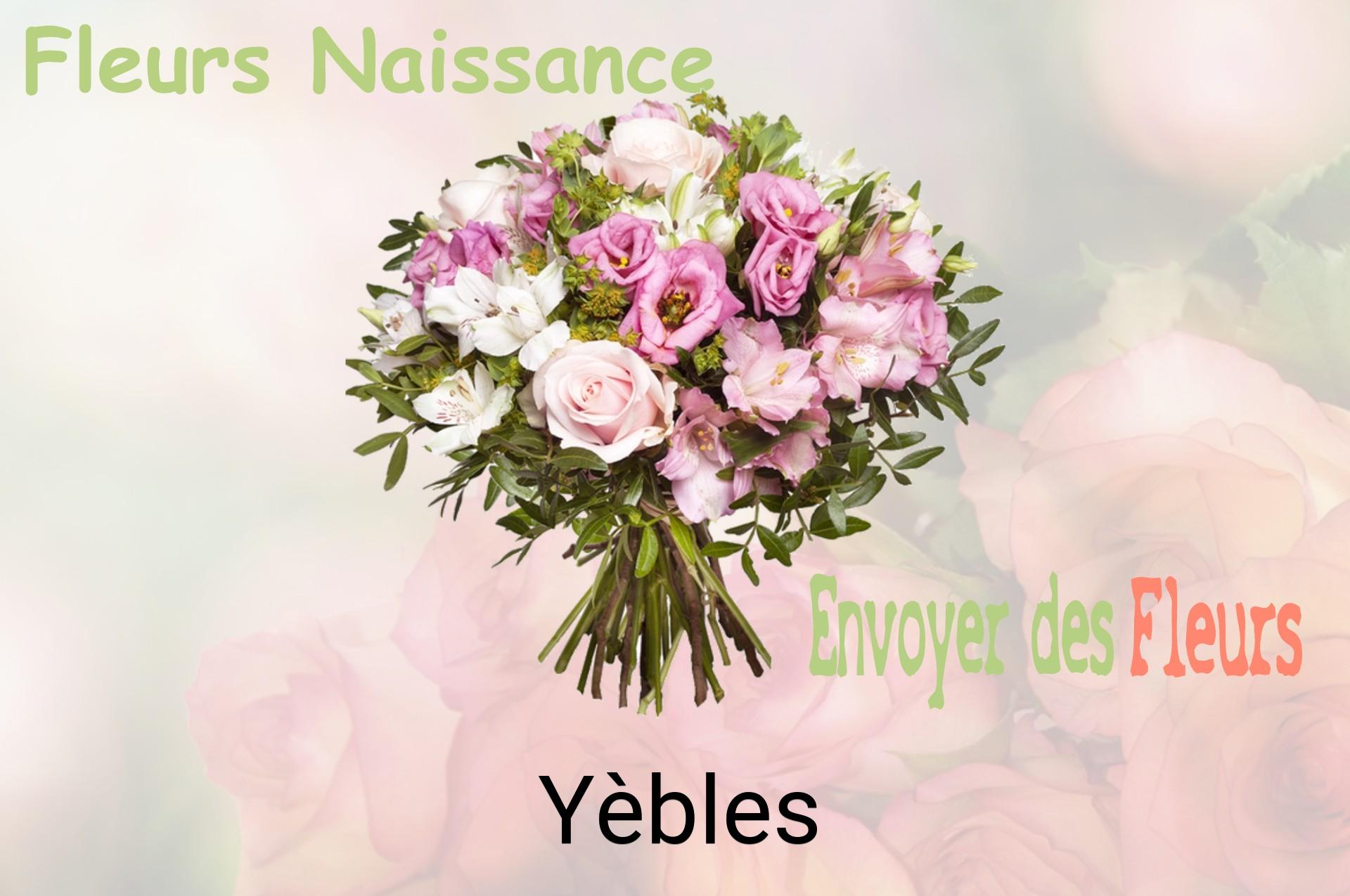 Bouquet de fleurs de naissance livré à Yèbles
